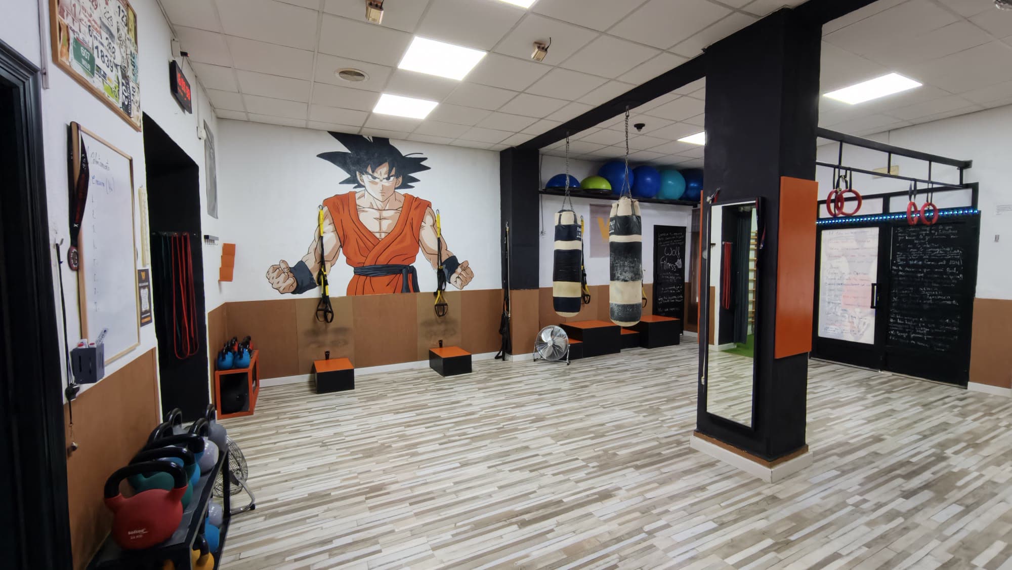 Sala de entrenamiento de Wolf Fitness en Murcia, con TRX, sacos, kettlebells y el mural de Goku